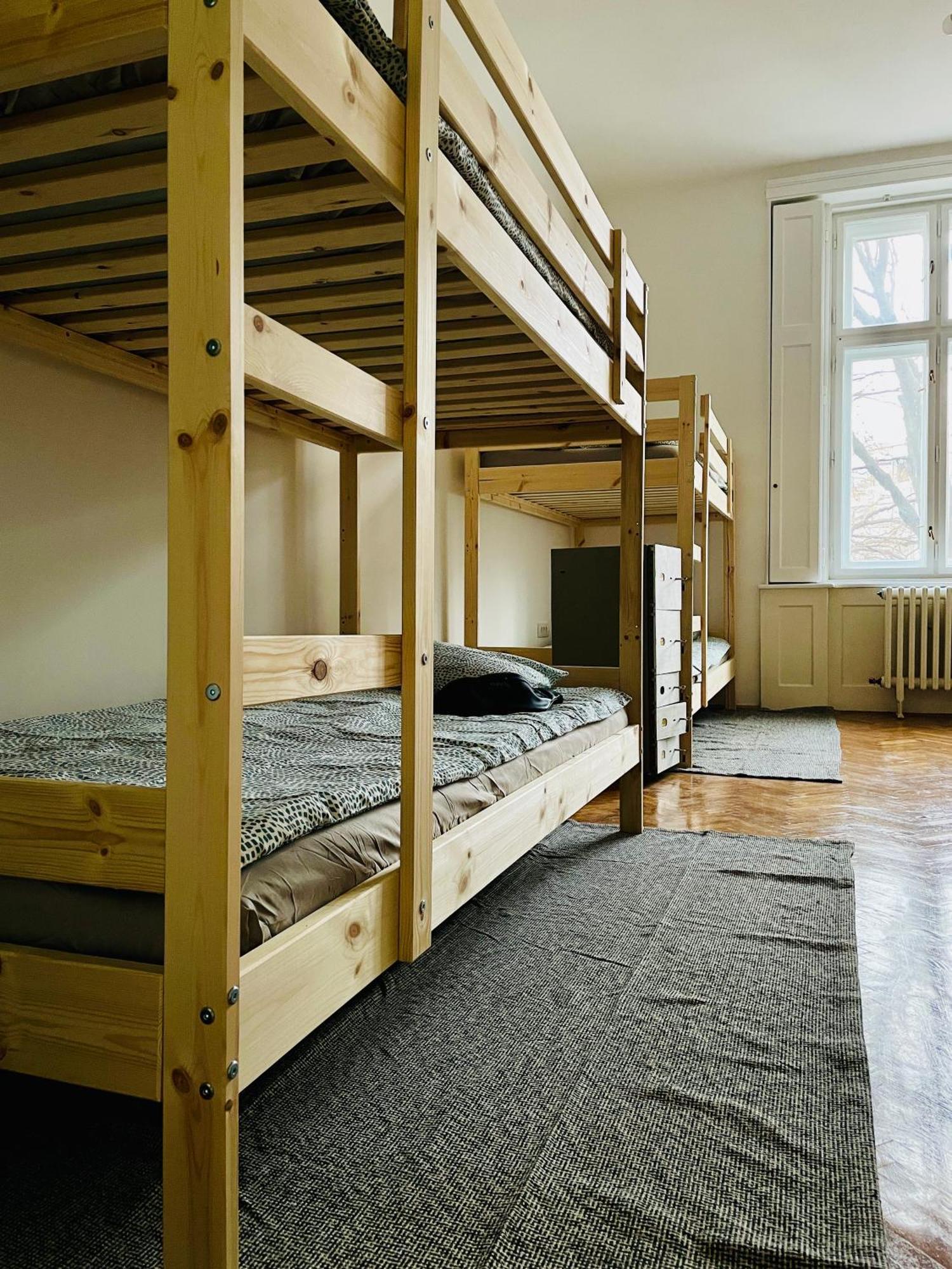 Hostel Green World Novi Sad Bagian luar foto